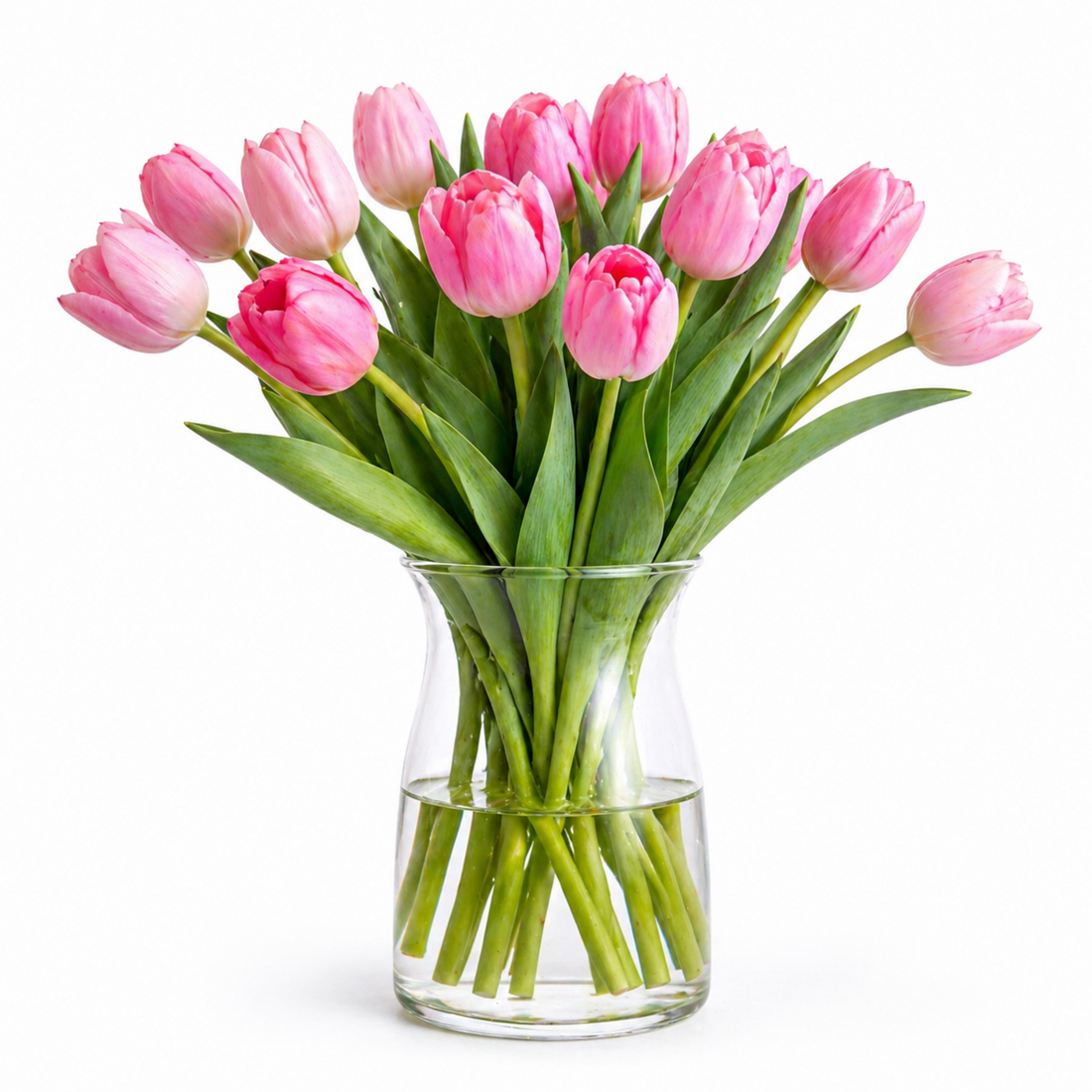 tulipanes en porcelana fría realistas en jarrón fondo blanco