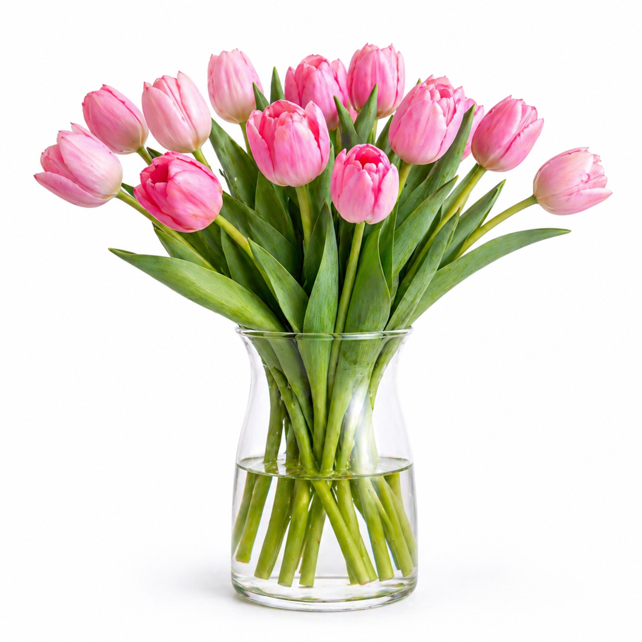 tulipanes en porcelana fría realistas en jarrón fondo blanco
