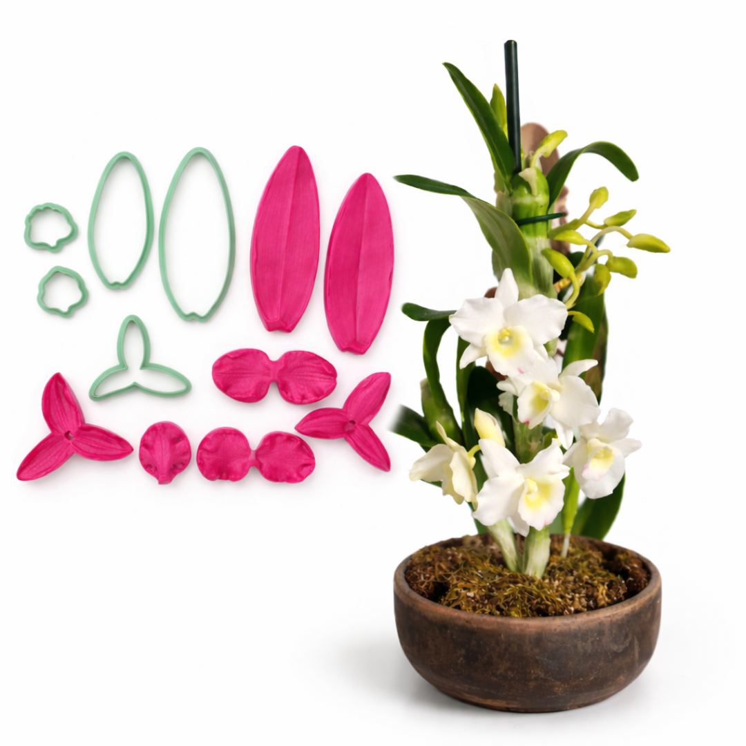 Curso orquidea Dendrobium en porcelana fria AradiaShop con materiales incluidos cortadores y nervadores