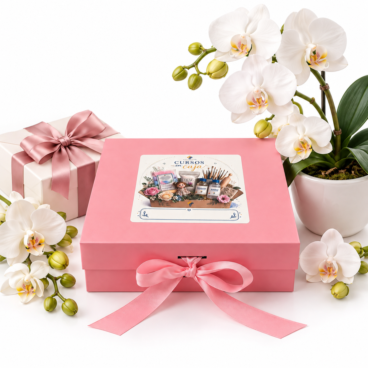 Cursos y regalos
