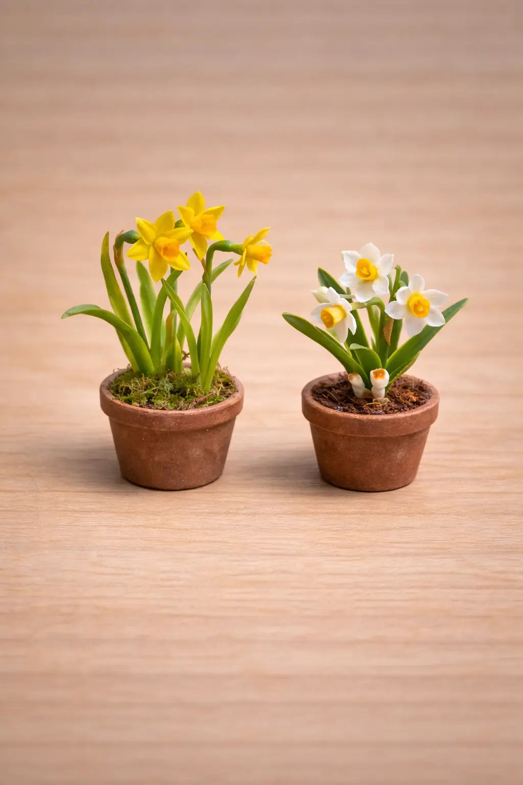 Set Mini Cortadores Narciso | Para Porcelana Fría y Fondant AradiaShop