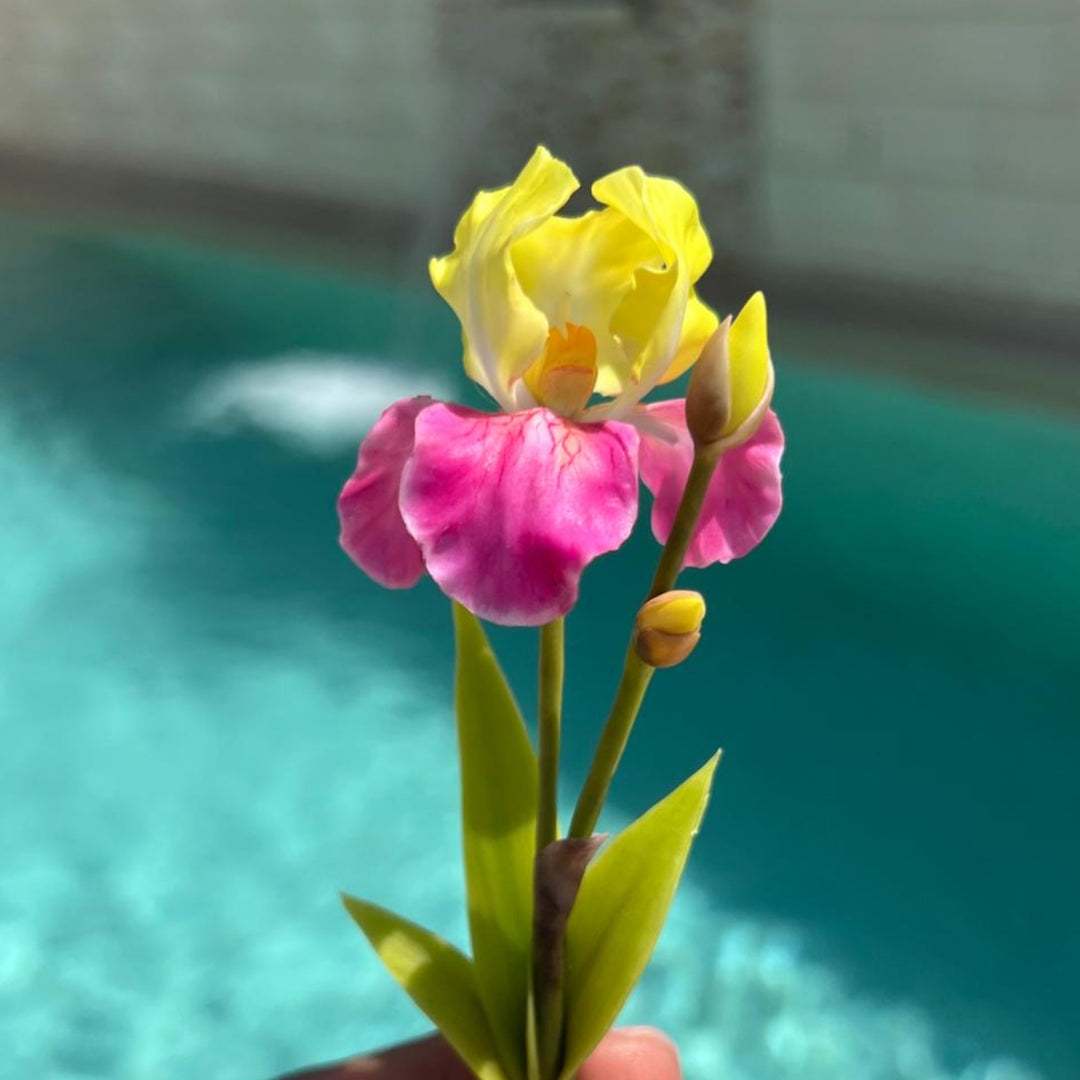 Iris – Molde Floral para Porcelana Fría y Manualidades