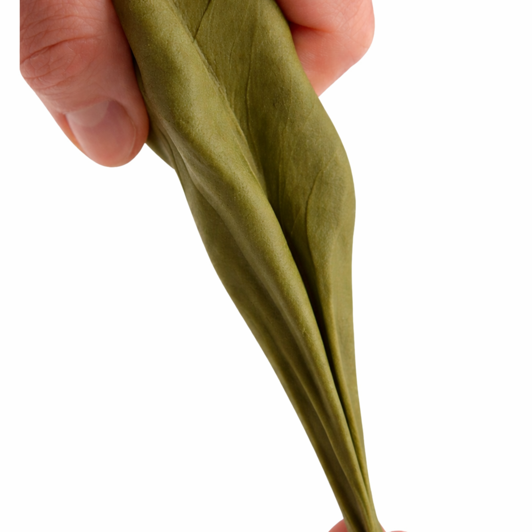 Cremosa Cold Porcelain Floral Set 500g | 5 Soft Romantic Colors