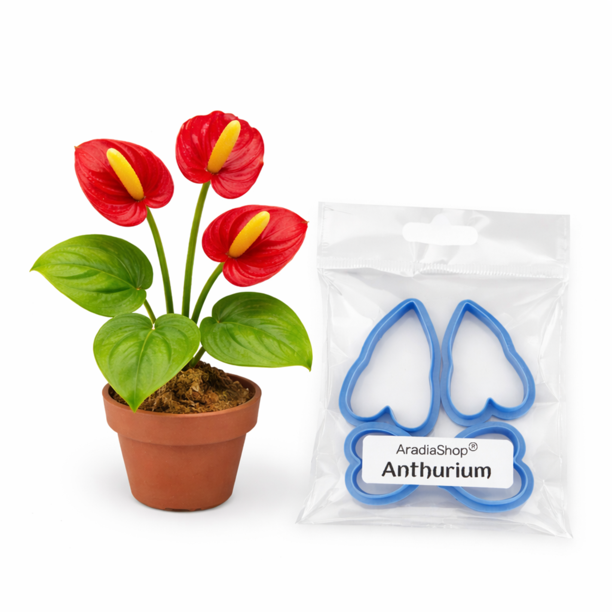 Cortadores de anturio AradiaShop junto a planta real como referencia para porcelana fria
