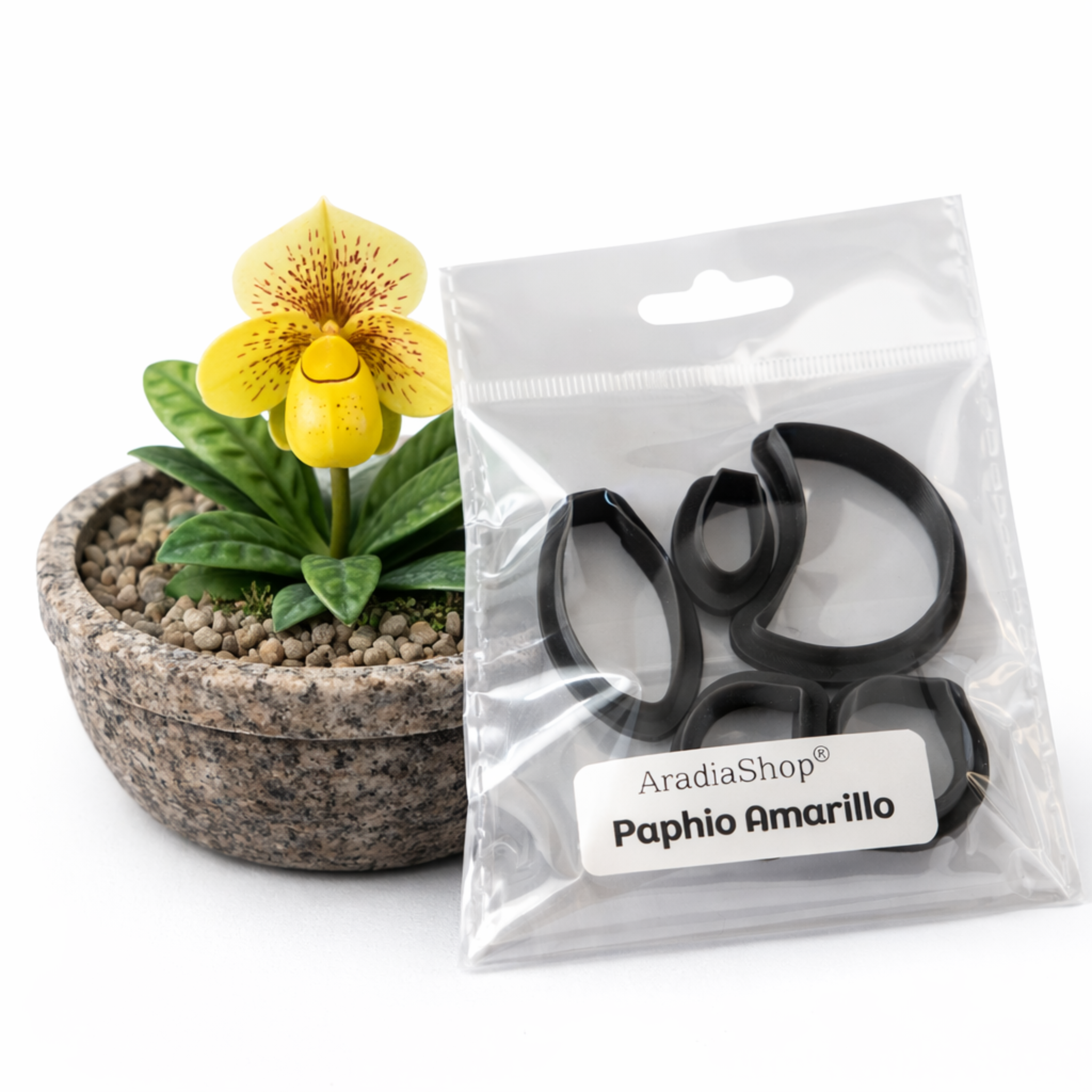 Cortadores Paphiopedilum AradiaShop junto a planta real como referencia para porcelana fria