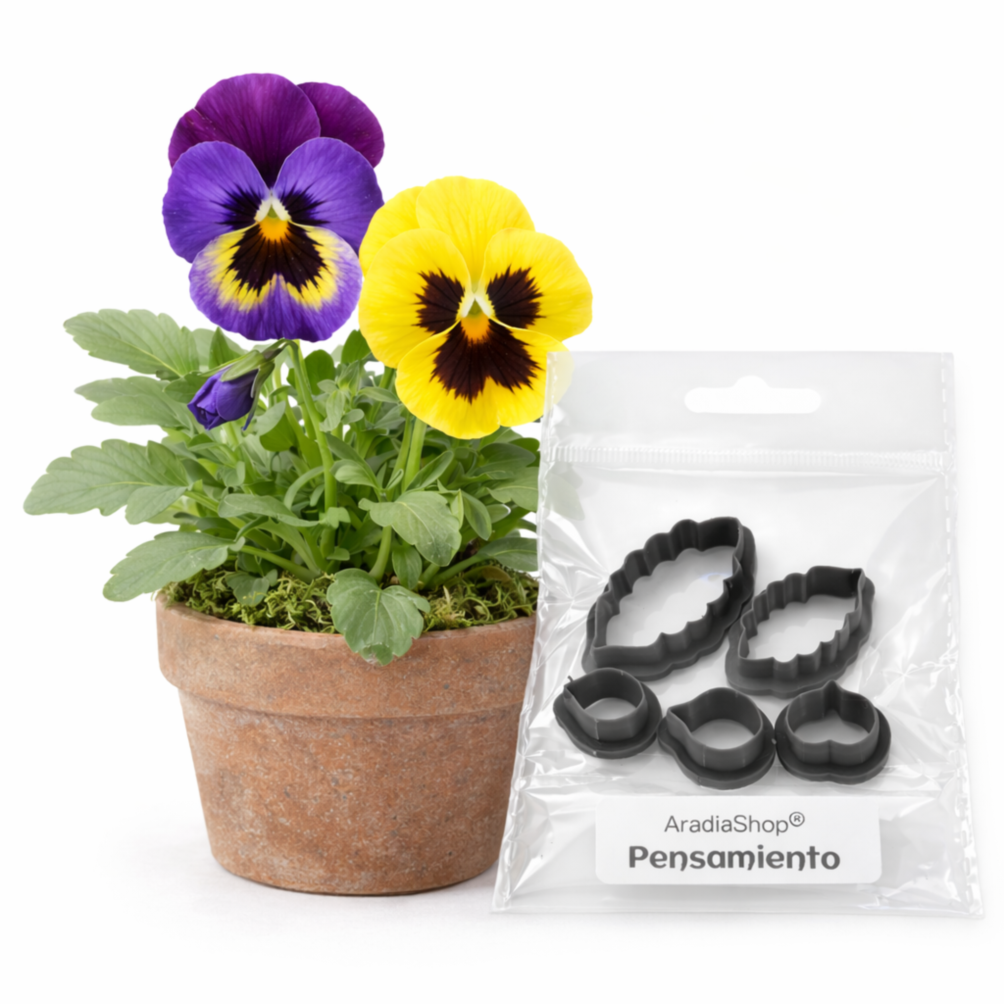 Cortadores de pensamiento AradiaShop junto a flor real como referencia para porcelana fria