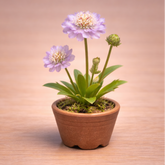 Flor de escabiosa realizada con porcelana fria usando cortadores AradiaShop
