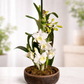 Orquidea Dendrobium en porcelana fria con fondo decorativo realizada con cortadores y nervadores AradiaShop