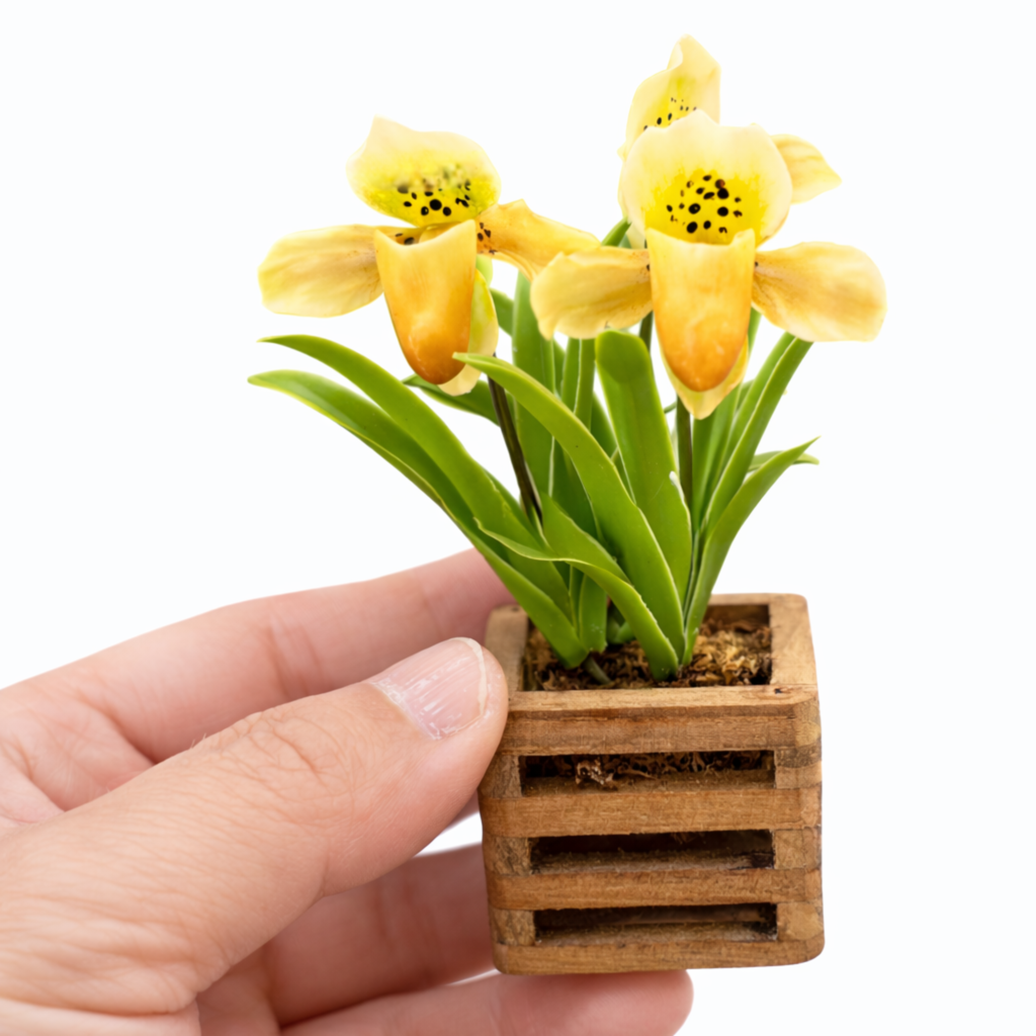 Flor Paphiopedilum en porcelana fria en maceta cuadrada de madera realizada con cortadores AradiaShop
