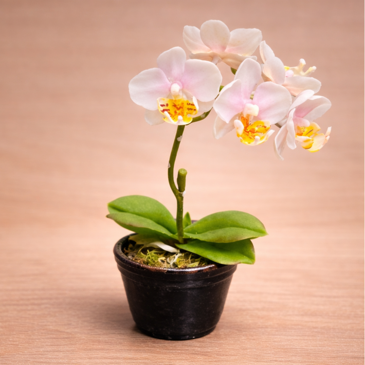 Orquidea phalaenopsis realizada con porcelana fria usando cortadores AradiaShop