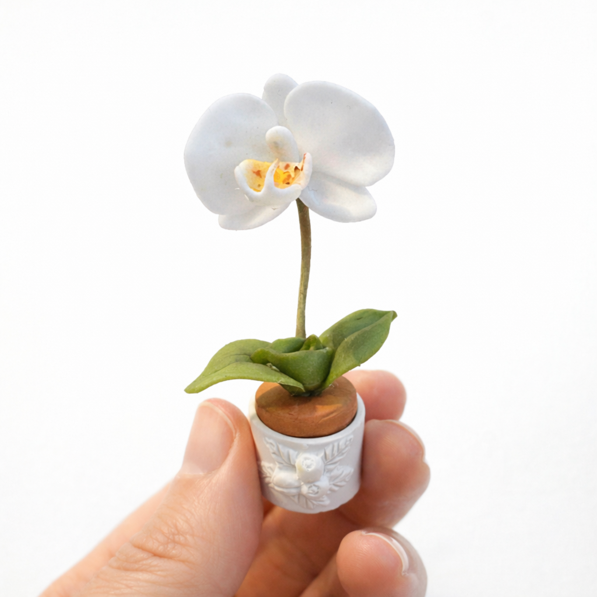 Orquidea phalaenopsis en porcelana fria sostenida en la mano realizada con cortadores AradiaShop
