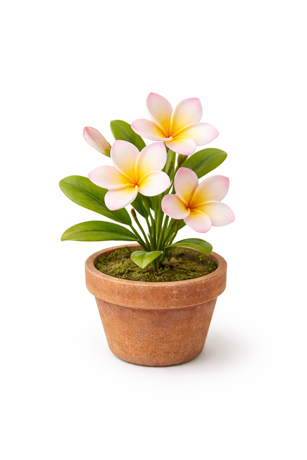 Flor de plumeria en miniatura realizada con porcelana fria usando cortadores AradiaShop